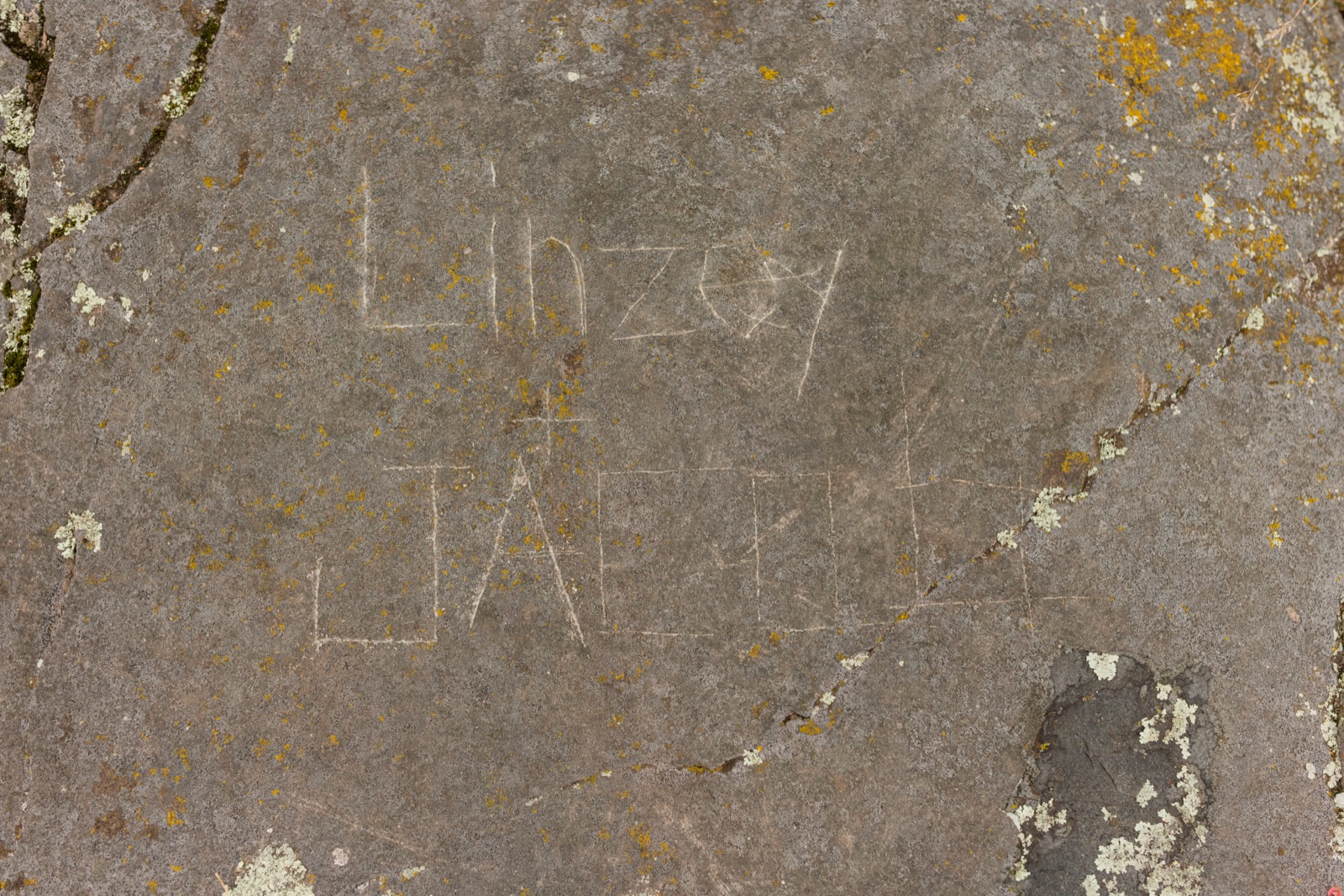 Linzey and Jacob proposal photo